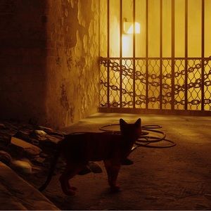 Meet your Posher, Ann